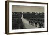 Camels and Orange Groves, Palestine-null-Framed Photographic Print