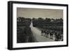 Camels and Orange Groves, Palestine-null-Framed Photographic Print