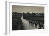 Camels and Orange Groves, Palestine-null-Framed Photographic Print