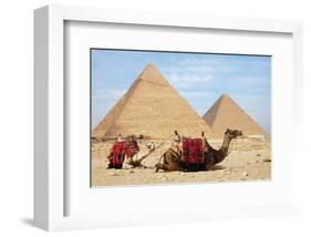 Camels and Pyramids Giza Egypt-null-Framed Art Print