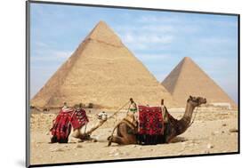 Camels and Pyramids Giza Egypt-null-Mounted Art Print