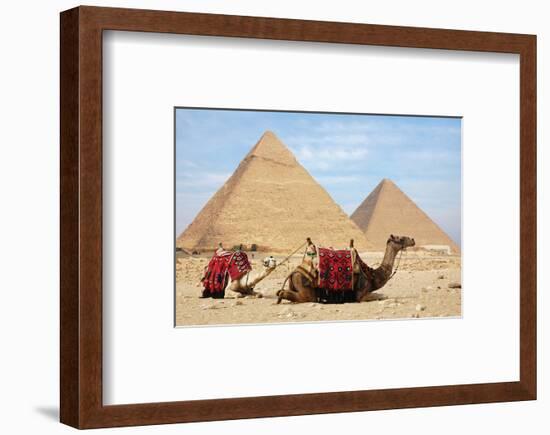 Camels and Pyramids Giza Egypt-null-Framed Art Print