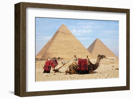 Camels and Pyramids Giza Egypt-null-Framed Art Print