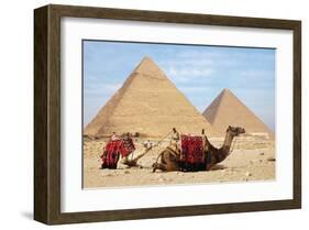 Camels and Pyramids Giza Egypt-null-Framed Art Print