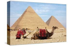 Camels and Pyramids Giza Egypt-null-Stretched Canvas