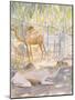 Camels at Rest, Salala (Oman) 1992-Lucy Willis-Mounted Giclee Print