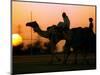 Camels at Sunset in Dubai, March 2000-null-Mounted Photographic Print