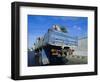 Camels Being Driven to Market in Back of Truck, Cairo, Egypt-Sylvain Grandadam-Framed Photographic Print