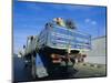 Camels Being Driven to Market in Back of Truck, Cairo, Egypt-Sylvain Grandadam-Mounted Photographic Print