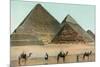 Camels by Pyramids, Egypt-null-Mounted Premium Giclee Print