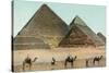 Camels by Pyramids, Egypt-null-Stretched Canvas