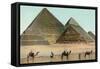 Camels by Pyramids, Egypt-null-Framed Stretched Canvas