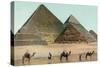 Camels by Pyramids, Egypt-null-Stretched Canvas