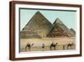 Brown Frame