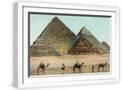 White Frame