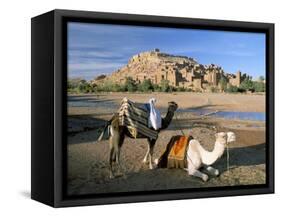 Camels by Riverbank with Kasbah Ait Benhaddou, Unesco World Heritage Site, in Background, Morocco-Lee Frost-Framed Stretched Canvas