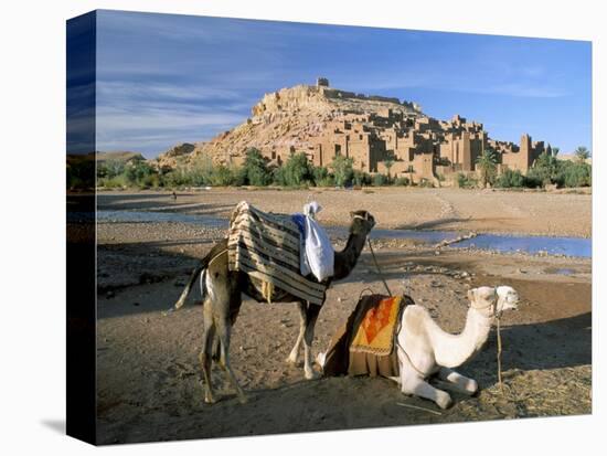 Camels by Riverbank with Kasbah Ait Benhaddou, Unesco World Heritage Site, in Background, Morocco-Lee Frost-Stretched Canvas