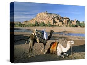 Camels by Riverbank with Kasbah Ait Benhaddou, Unesco World Heritage Site, in Background, Morocco-Lee Frost-Stretched Canvas