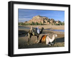 Camels by Riverbank with Kasbah Ait Benhaddou, Unesco World Heritage Site, in Background, Morocco-Lee Frost-Framed Photographic Print