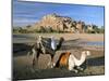 Camels by Riverbank with Kasbah Ait Benhaddou, Unesco World Heritage Site, in Background, Morocco-Lee Frost-Mounted Photographic Print