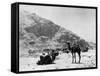 Camels Carry Water to Troops in Sudan-null-Framed Stretched Canvas