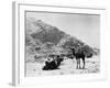 Camels Carry Water to Troops in Sudan-null-Framed Photographic Print