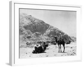 Camels Carry Water to Troops in Sudan-null-Framed Photographic Print