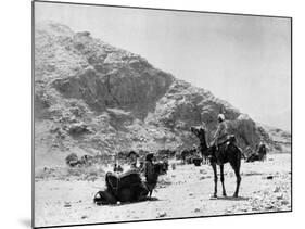 Camels Carry Water to Troops in Sudan-null-Mounted Photographic Print