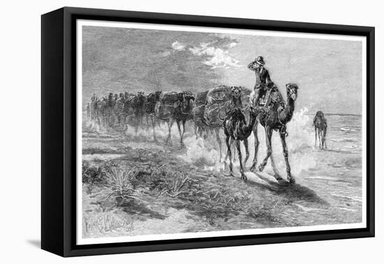 Camels Carrying Wool, 1886-Frank P Mahony-Framed Stretched Canvas