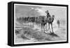 Camels Carrying Wool, 1886-Frank P Mahony-Framed Stretched Canvas