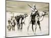 Camels Crossing the Desert-Mcbride-Mounted Premium Giclee Print