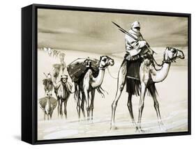 Camels Crossing the Desert-Mcbride-Framed Stretched Canvas