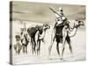 Camels Crossing the Desert-Mcbride-Stretched Canvas