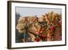 Camels Decorated for a Desert Festival. Jaisalmer. Rajasthan. India-Tom Norring-Framed Photographic Print