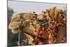 Camels Decorated for a Desert Festival. Jaisalmer. Rajasthan. India-Tom Norring-Mounted Photographic Print