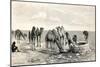 Camels Drinking from a Well in the Sahara Desert-null-Mounted Giclee Print