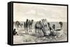 Camels Drinking from a Well in the Sahara Desert-null-Framed Stretched Canvas