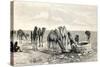 Camels Drinking from a Well in the Sahara Desert-null-Stretched Canvas