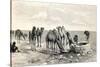 Camels Drinking from a Well in the Sahara Desert-null-Stretched Canvas