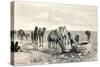 Camels Drinking from a Well in the Sahara Desert-null-Stretched Canvas