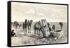 Camels Drinking from a Well in the Sahara Desert-null-Framed Stretched Canvas