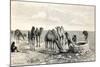 Camels Drinking from a Well in the Sahara Desert-null-Mounted Giclee Print