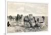 Camels Drinking from a Well in the Sahara Desert-null-Framed Giclee Print