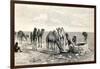 Camels Drinking from a Well in the Sahara Desert-null-Framed Giclee Print