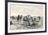 Camels Drinking from a Well in the Sahara Desert-null-Framed Giclee Print