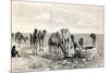 Camels Drinking from a Well in the Sahara Desert-null-Mounted Giclee Print