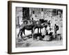 Camels Drinking from Davids Well Bethlehem Israel-null-Framed Photographic Print