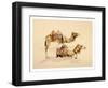 Camels from Petra, 2007-Alison Cooper-Framed Giclee Print