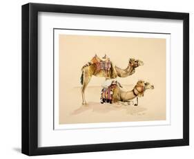 Camels from Petra, 2007-Alison Cooper-Framed Giclee Print