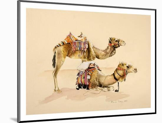 Camels from Petra, 2007-Alison Cooper-Mounted Giclee Print